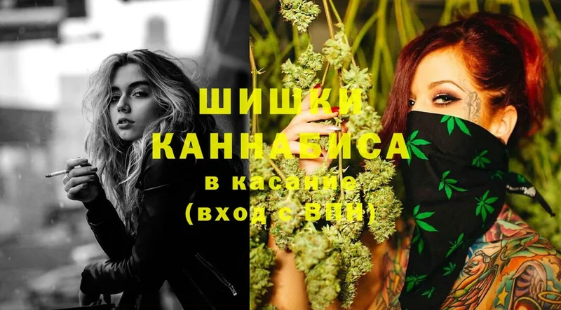 Шишки марихуана THC 21%  Красновишерск 